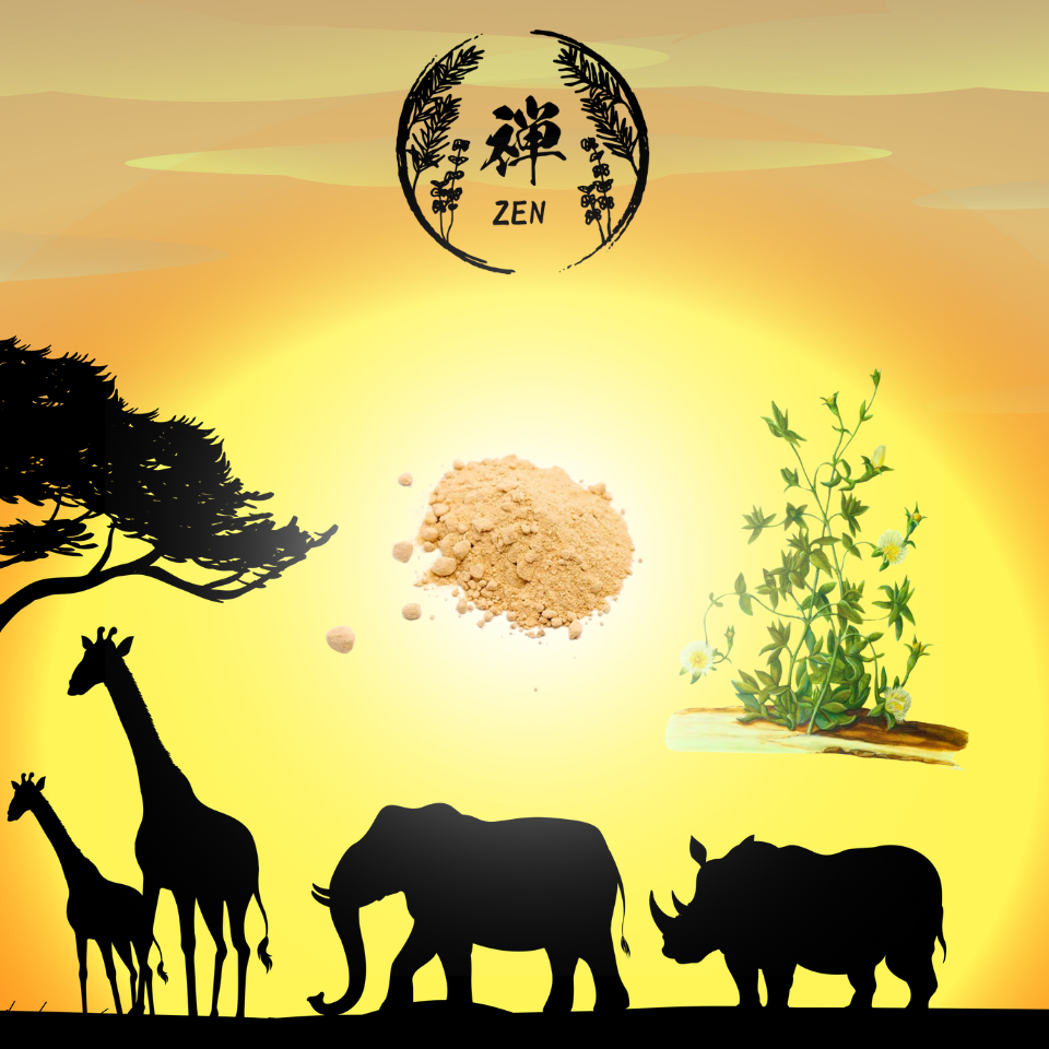 ZEN Kanna Powder | 高濃度抽出カンナパウダー